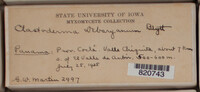 Image Associated With the Occurence